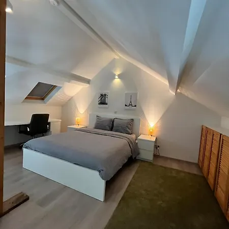 Apartament Voskenslaan Duplex Gandawa